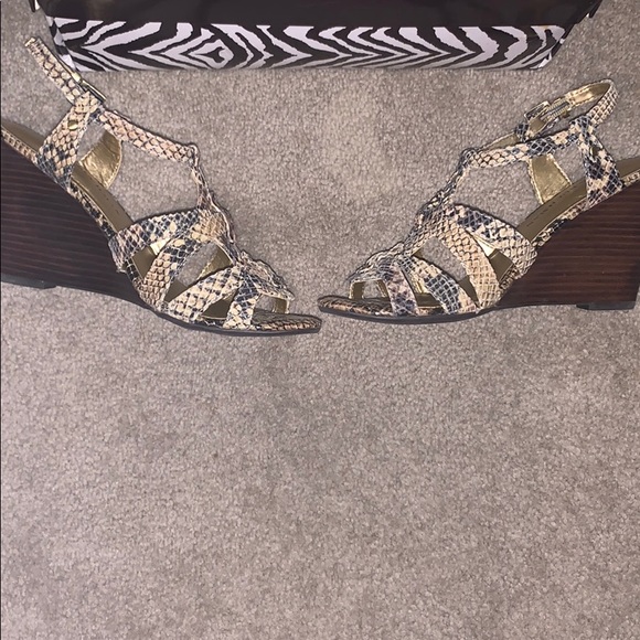 Snake skin heels by DANA BUCHMAN - Picture 4 of 6